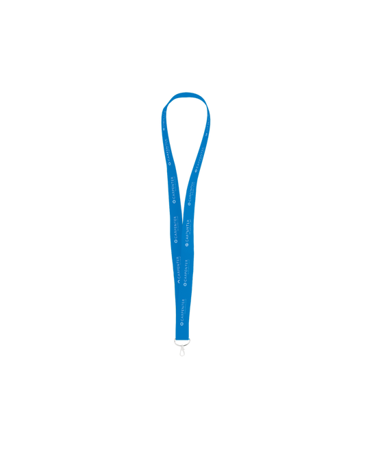 Lanyard